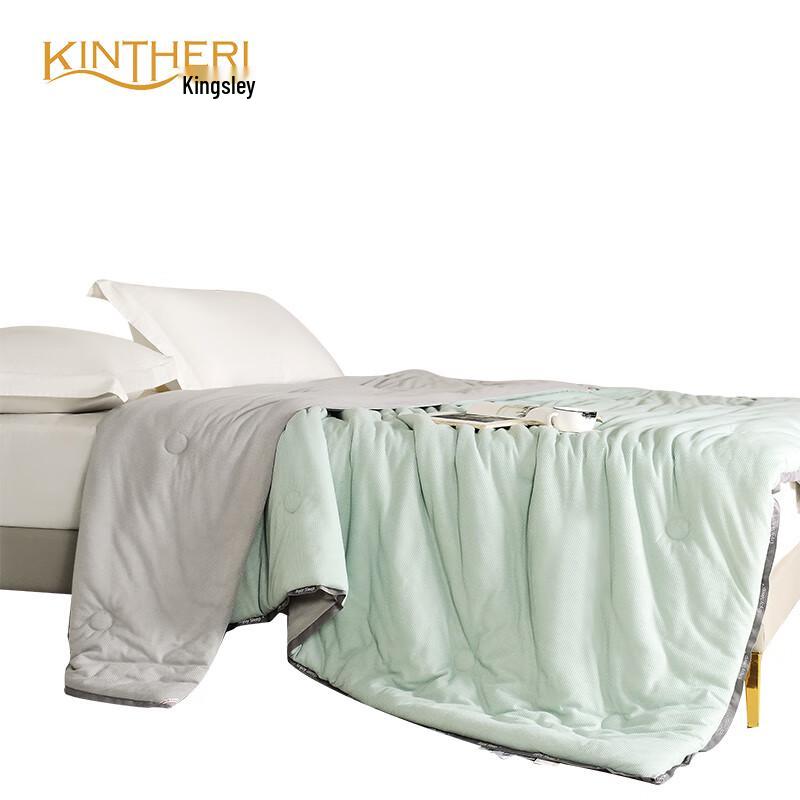 

KINTHERI Seasonal Polyester Quilt