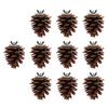 10pcs Bird Bite Pine Cones Natural Pine Cone Chewing Bird Toy for Parakeet Cockatiel Conure Finch Budgie Macaw