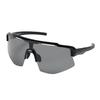 Rawlings Baseball Sunglasses Smoke REW25-02SM