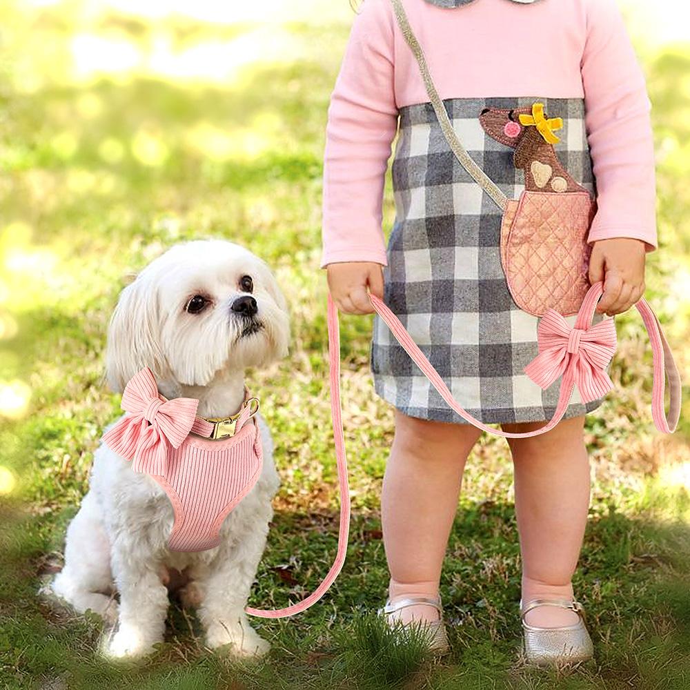 Cute Bowknot Dog Collar Harness Leash Set Dog Collar Leash WIth Bowtie Soft Harness Vest For Small Medium Dogs Outdoor Walking