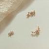 Rose Gold Crown Surgical Piercing