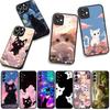 Cover for Huawei P30 P20 P10 Mate 10 20 Pro Lite Y9A Y8S P Smart Y7 Y9 Prime Y6 Casing Phone Case Cartoon Kitten Cat Meow