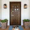 Dog Doge Cute Non-Slip Carpet Boxer Doormat Living Room Bath Mat Entrance Door Decor Rug