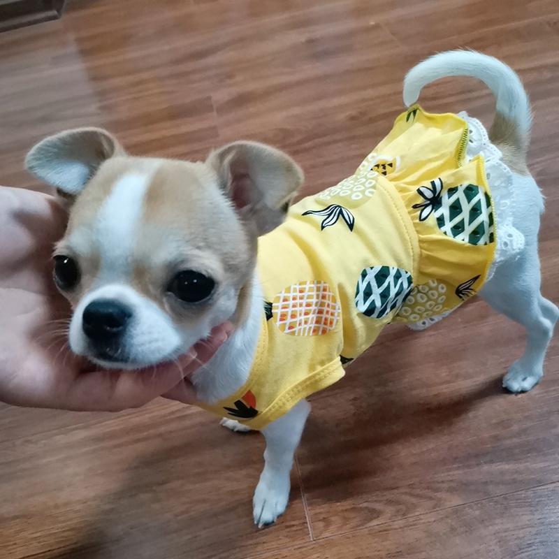 Cozy Cotton Cat Dog Dress Skirt Summer Pet Clothes for Small Dogs Yorkshire Shih Tzu Teddy Dresses Puppy Clothing Cachorro Roupa