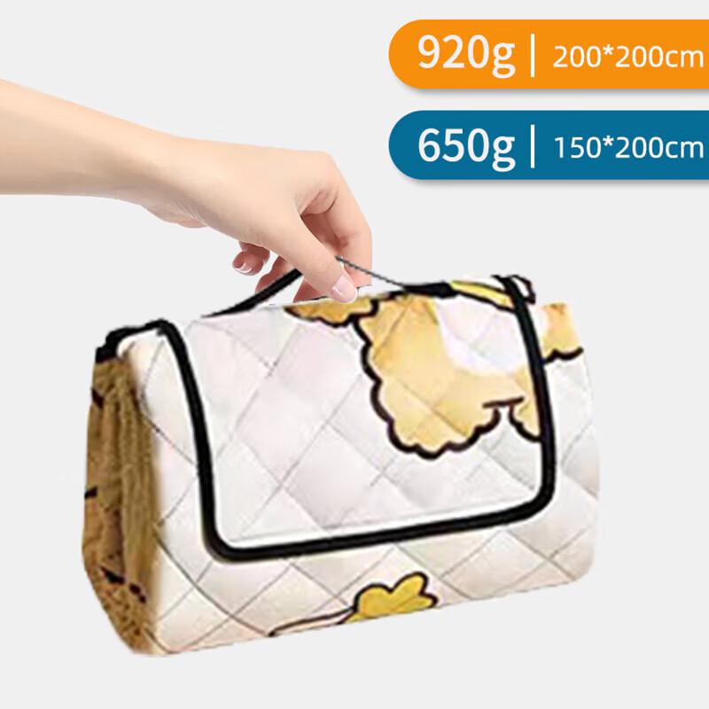 FTLY Little Bear Ultrasonic Picnic Mat