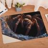 3D Visual Depth Rug Optical Illusion Floor Mat Realistic Hole Spider Doormat Fun Pet Play Rug for Entrance Hallway Living Room