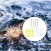 8x Grub Fishing Lure Grub Fishing Soft Saltwater Freshwater Swimbait 6cm/2.3G Twin Tail Grub Fishing Baits Swimbaits Paddle