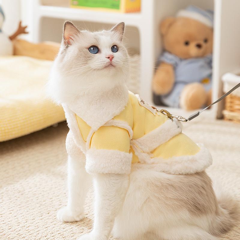 Cat clothes Autumn and winter Ragdoll cat warm two-legged cotton-padded clothes pet dog dog kitten cat kitten anti-hair loss clothing