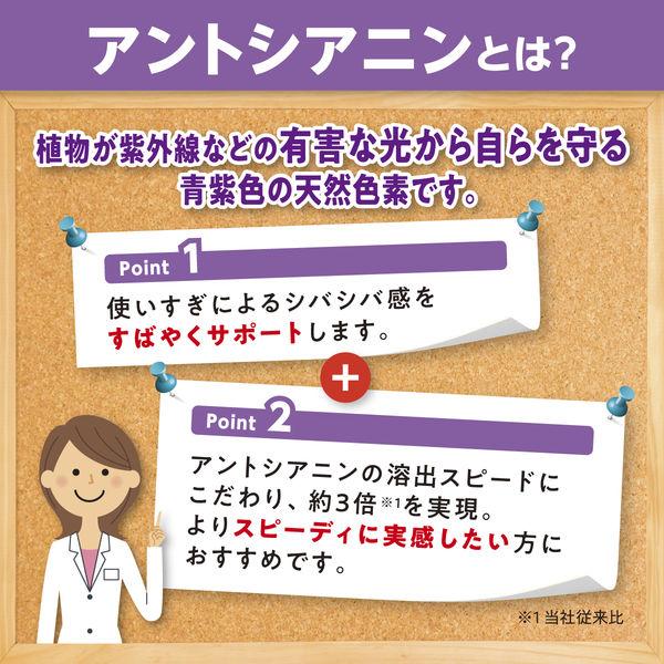 DHC Sokkou Blaubeere V-MAX (20 Tage Vorrat / 1 Packung) – Nahrungsergänzungsmittel für die Augengesundheit mit Heidelbeere, Lutein und Astaxanthin s2246