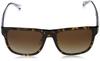 Sunglasses EA4163F 587913 BROWN LENS 57 [Emporio Armani] Men's HAVANA/GRADIENT
