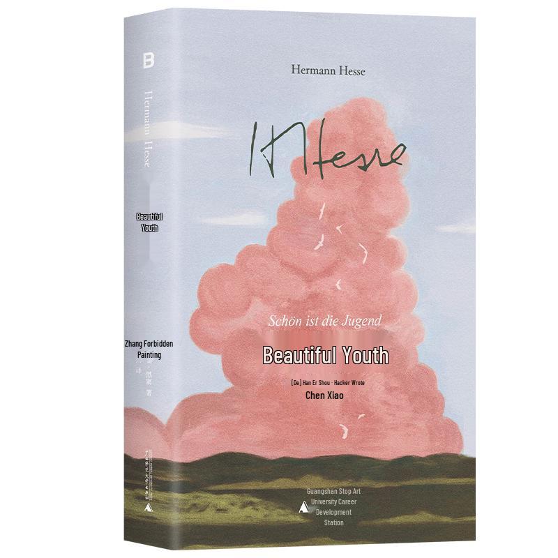 Hermann Hesse Novels Collection