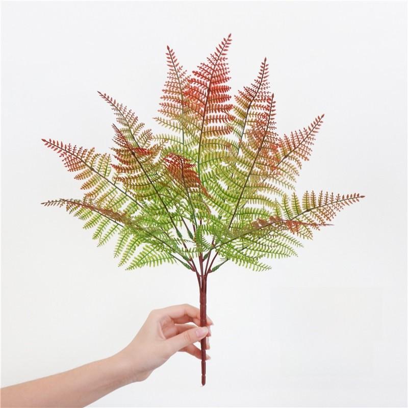 Aquilinum Pteridium Var Latiusculum Plant Designs Home Studio Decor красный
