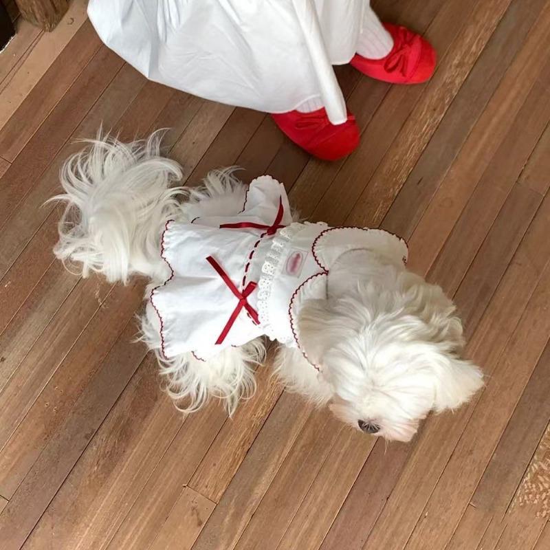 

Pet clothes small dog cat clothes cute princess dress bow cute dopamine super cute skirt XL chest 50 back 40 about 12-7 kg