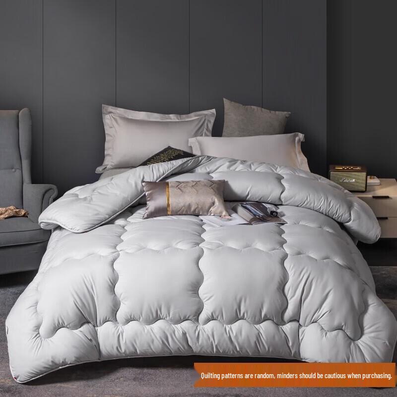 Nanjiren All-Season Polyester Duvet Insert