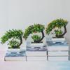 Künstliche Pflanze Bonsai Künstlicher Kleiner Baum Topf Plastik Blumentopf Grüne Pflanze Kunstblumentopf Blumen