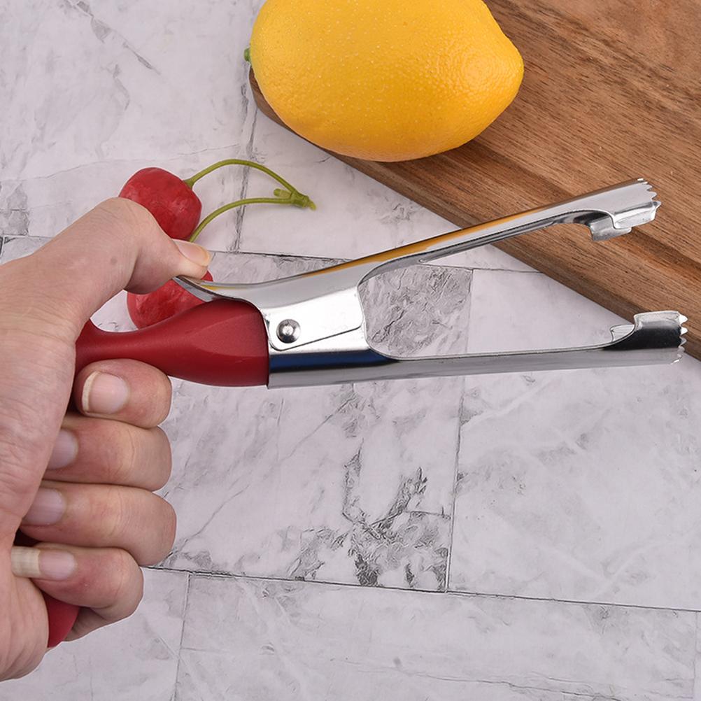 Edelstahl Fruchtentkerner mit rutschfestem Griff Apfelentkernwerkzeug