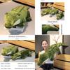 Soft And Cuddly Lyle Lyle Crocodile Plush Toy Perfect For Kids And Adults