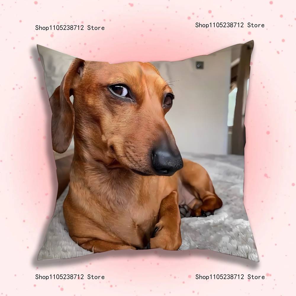 Смешные Наволочки с Таксами Мультяшные Декоративные Для Дивана Дома Двусторонние Короткий Плюш Милые Наволочки 12x12Inch