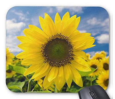 Slunečnice a modrá obloha myš Photopad Flowers pad (Světová série) (B)