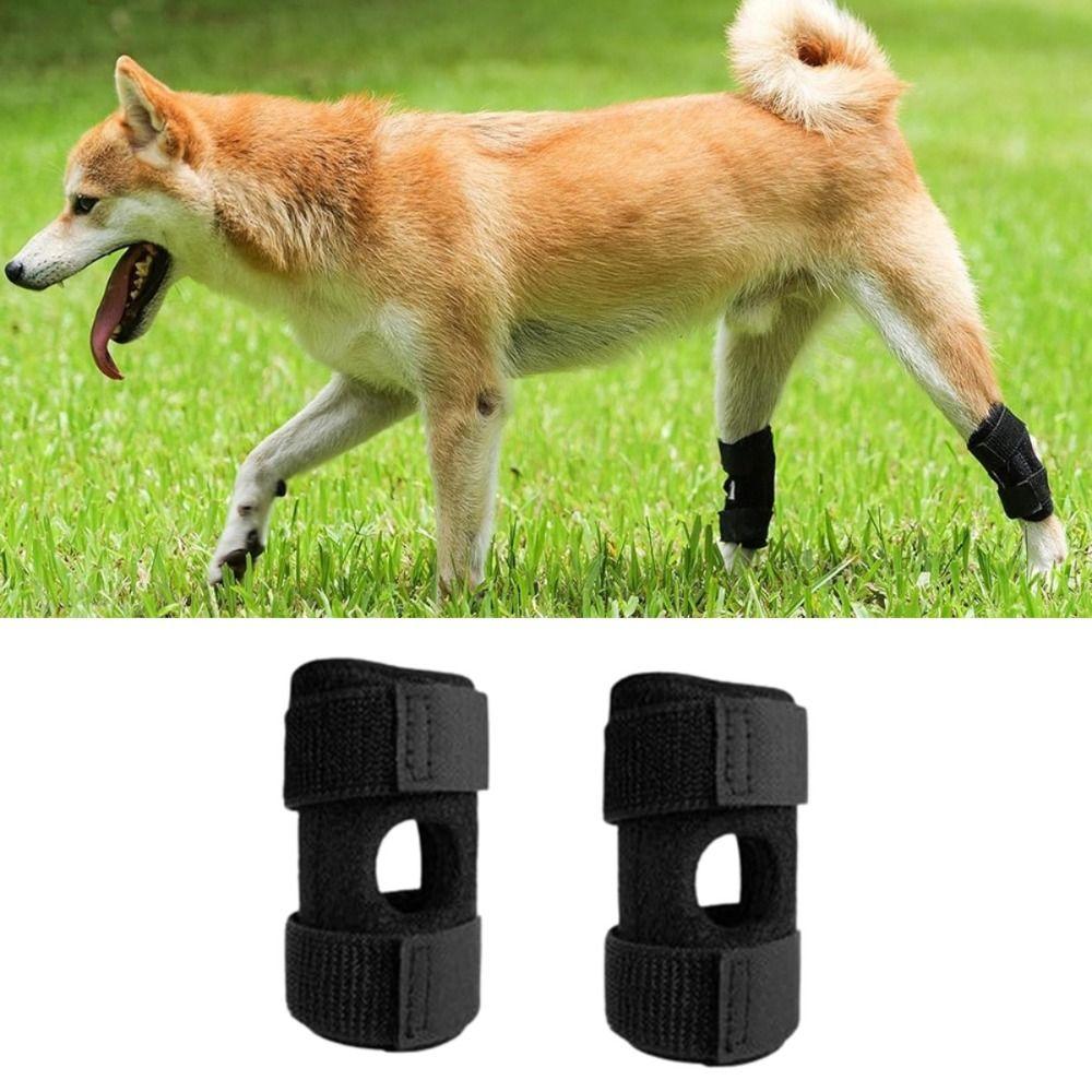 

1 пара защищает собаку, поддерживает ногу, M/L/XL, защищает от артрита собак, фиксирует скакательный сустав, для животных