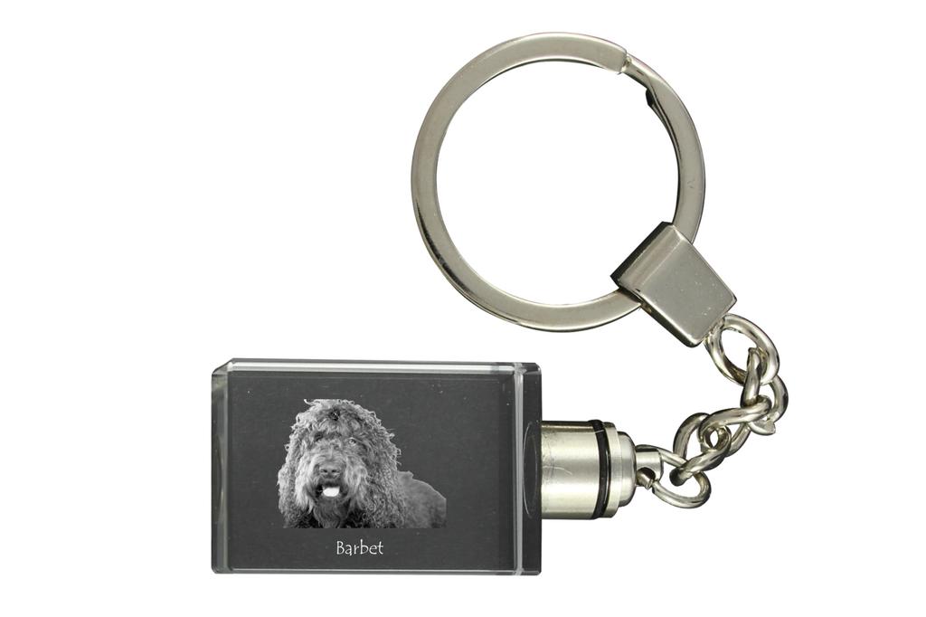Barbet, French Water Dog - Crystal Key Ring with Dog Photo, Illuminated Key Ring, Unique Gift by Art-Dog Brand