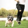 Retractable Pet Dog Automatic Roulette Leash 5M Reflective Traction Rope Walking Leash Lead(Black)