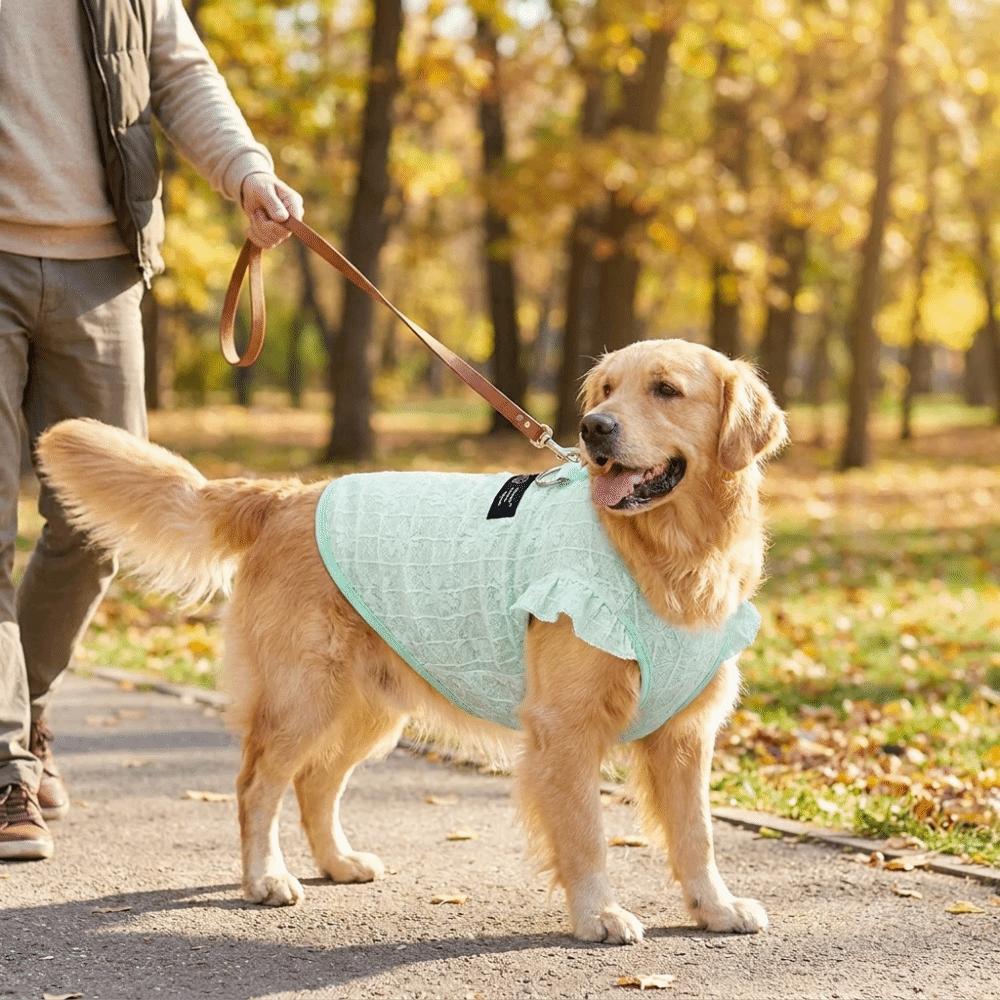 Airy Fabric Pet Cooling Vest Fly Sleeve Summer Dog Clothes Cute Dog Sunscreen Shirt Sun Protection