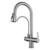 TLXT 3-in-1 Wall-Mounted Pull-Out Faucet with Water Purifier