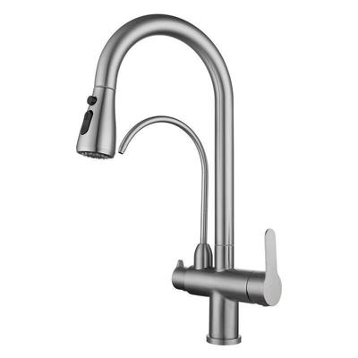 TLXT 3-in-1 Wall-Mounted Pull-Out Faucet with Water Purifier