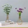 1 Set Of Gold Wrought Iron Metal Vase Hydroponic Container Test Tube Vase Living Room Illustration Decoration Flower Decor