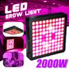 2000W Growing Lamps LED Grow Light Full Spectrum for Greenhouse Indoor Hydroponic Plant Seedling Flower High Yield
