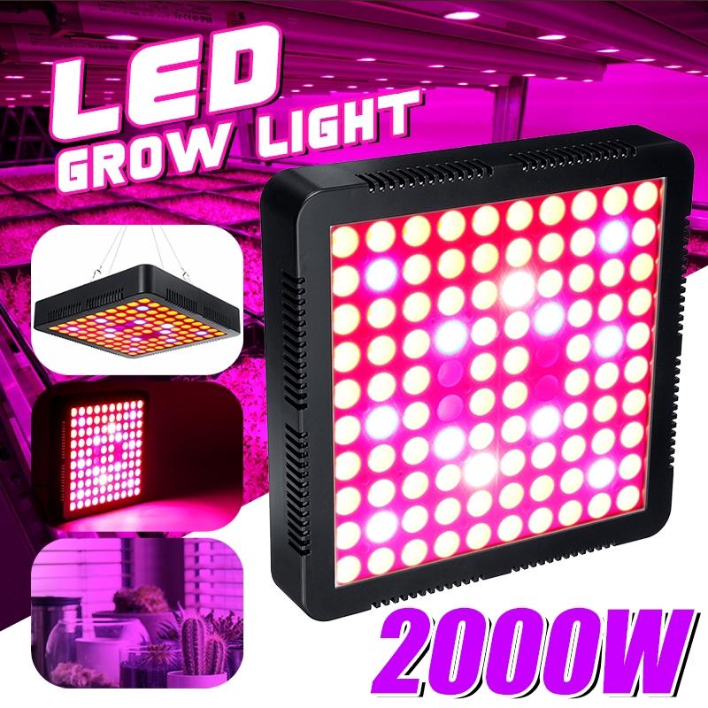 2000W Growing Lamps LED Grow Light Full Spectrum for Greenhouse Indoor Hydroponic Plant Seedling Flower High Yield