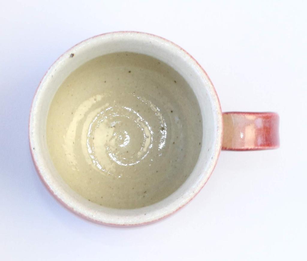 Tomori Saiun Mug "Shigaraki Ware" (red) W304-06