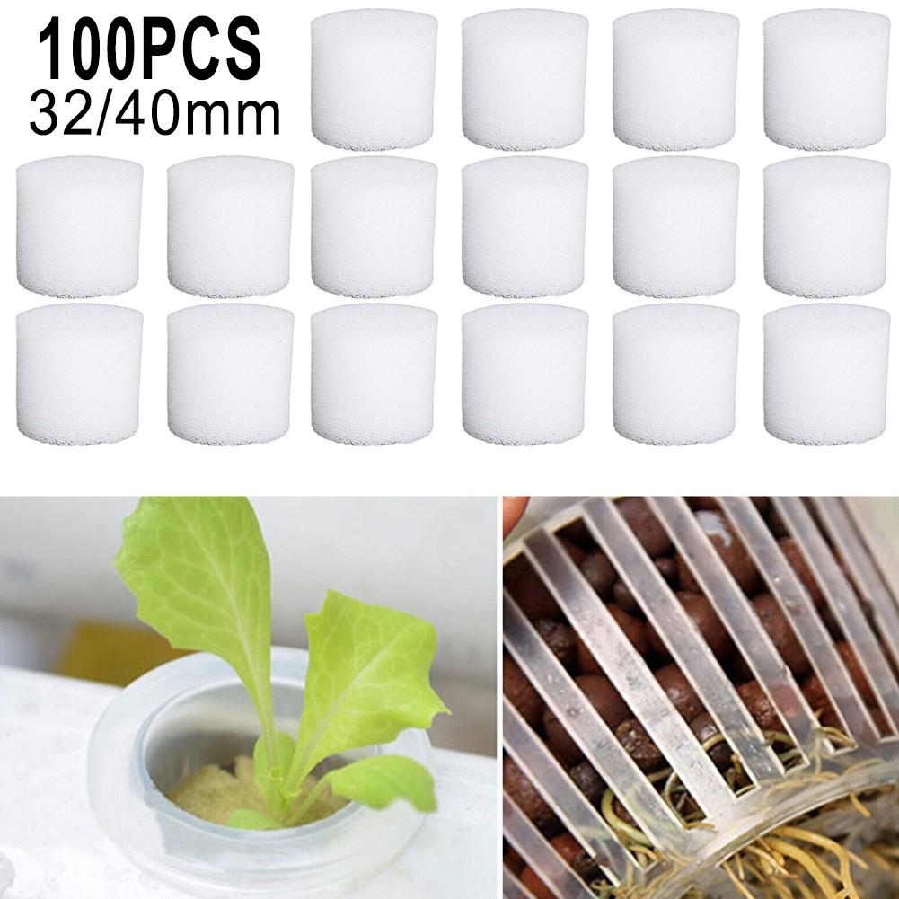 White Hydroponics Sponge 30mm*32mm Cultivation Flowerpot