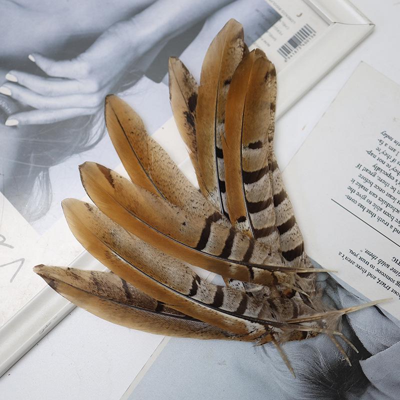 Pheasant Feather Long Plumes for Peking Opera Performance - Sun Wukong Theme
