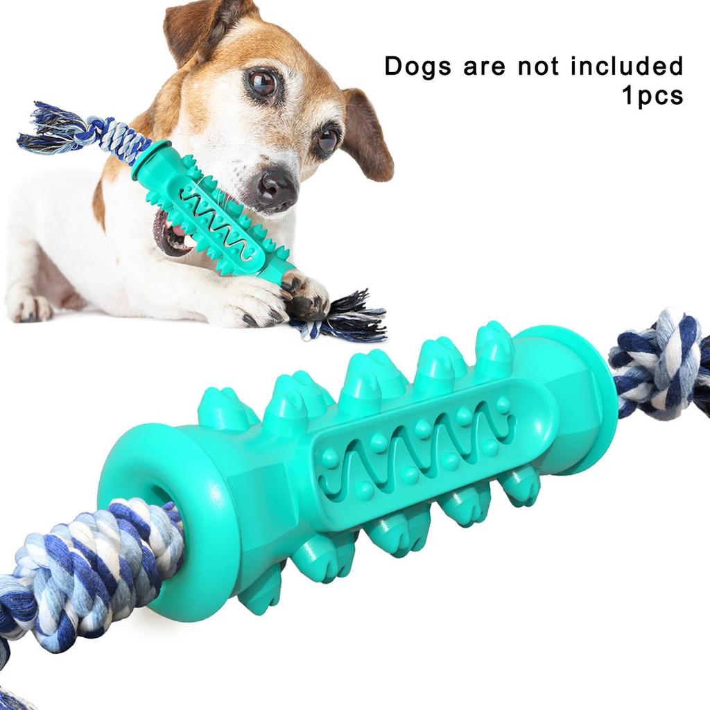 dog chew brush