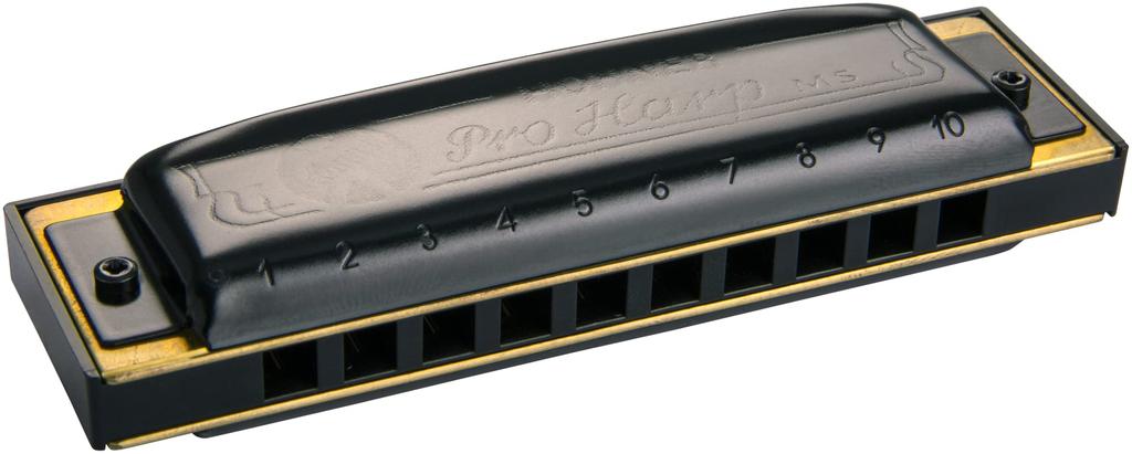 HOHNER PRO Flat Pro Harp 10 Hole Harmonica HARP/B