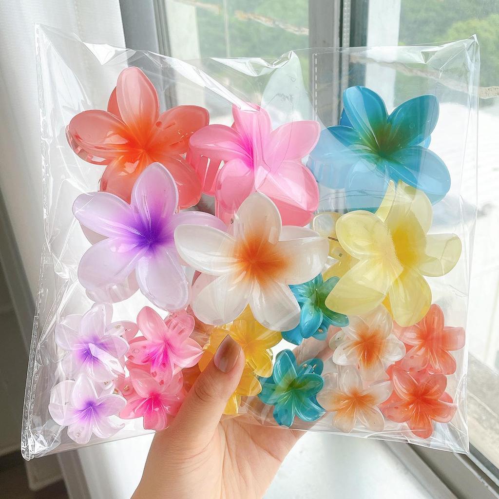 Gradient Plumeria Claw Clip Set: 18-Piece Floral Hair Accessories