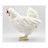 HANSA White Hen No.4172 35cm BH4172