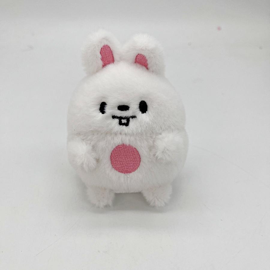 STAY Straykid Cartoon Keychain Egg Doll Mini Plush Doll Bag Pendant Fan Collection Gift Birthday Gift Couple Gift