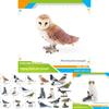 Parrot And Owl Figurines Made Of Plastic For Display And Educational Purposes