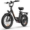 URLIFE E20 Multi Terrain Electric Bike With TowSeat 48V13Ah Battery 500W Motor Electric Bicycle 20 Inch City Fat Tire Outdoor Riding E-bike