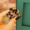Women's Daily Hair Point French Hair Clip