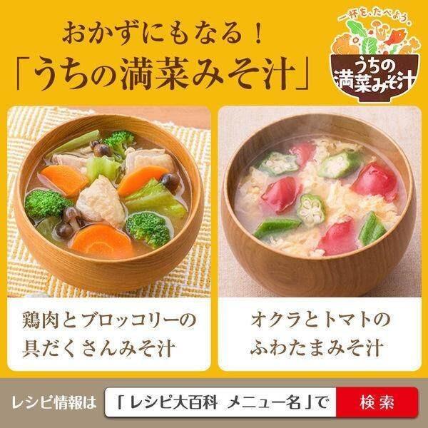Ajinomoto HON-DASHI DASHI (Japanese soup stock) Bottle 60g
