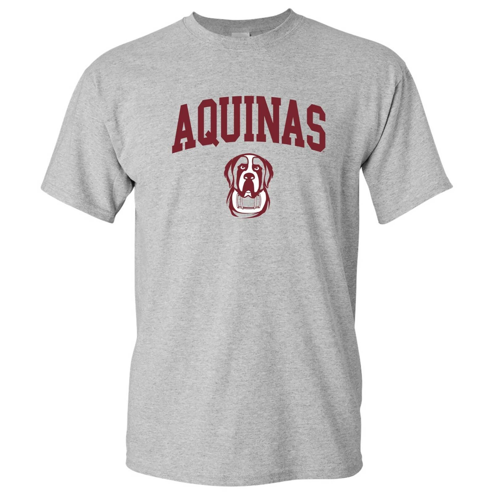 Aquinas Saints Arch Logo T-Shirt - Sport Grey XL