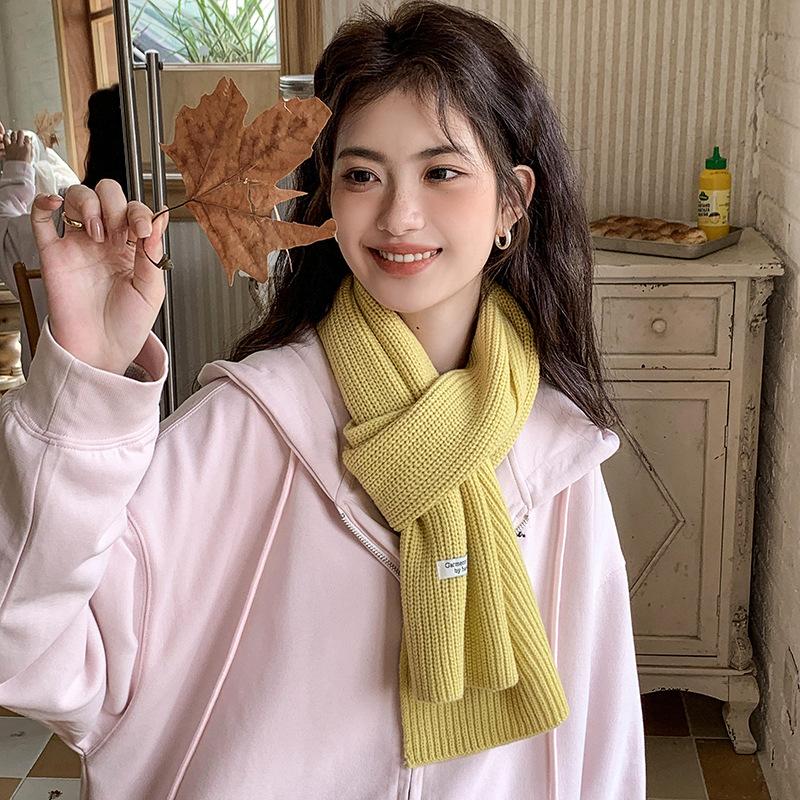 Automne/Hiver Écharpe Femme Couleur Unie Écharpe Chaude Polyvalente Écharpe Étudiante Tricotée Homme