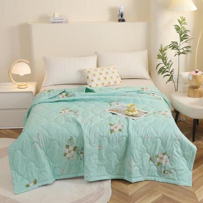 BGM B2401 Bamboo Charcoal Antibacterial Summer Quilt