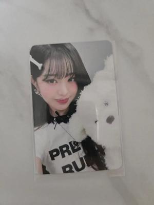 IVE Jang Wonyoung Secret Hello Live Puppy Photocard