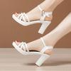 Thick Heeled Leather Work Shoes Women High Heels Pumps Comfortable Dress Shoes for Women Office Wedding Party Shoes