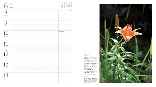 Calendar 2026 FLOWER CALENDAR Flower Calendar (Monthly Diary/Diary/Ring/Flower) (Yamakei Calendar 2026)